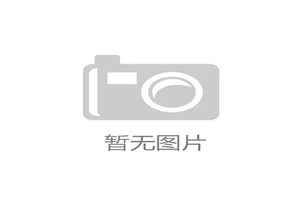 柏林联合社区足球模式获国际关注 成为小球会运营新典范 柏林联合社区足球模式获国际关注 成为小球会运营新典范
